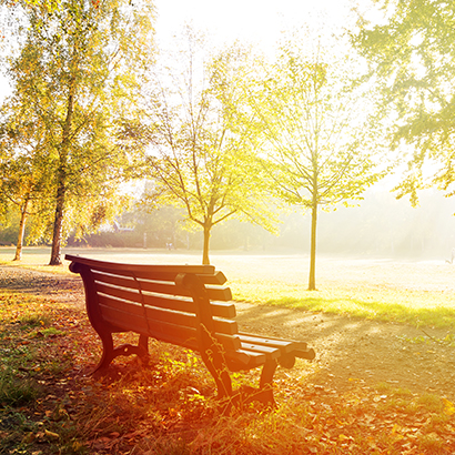 Benches